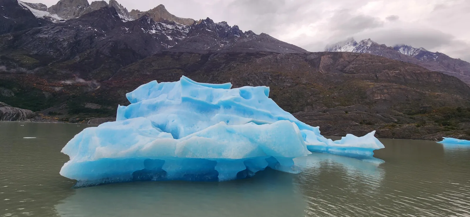 Blue iceberg floating on Lago Grey