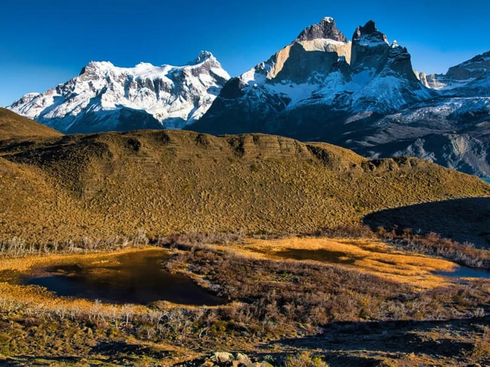The Cuernos del Paine above autumn-coloured wetlands